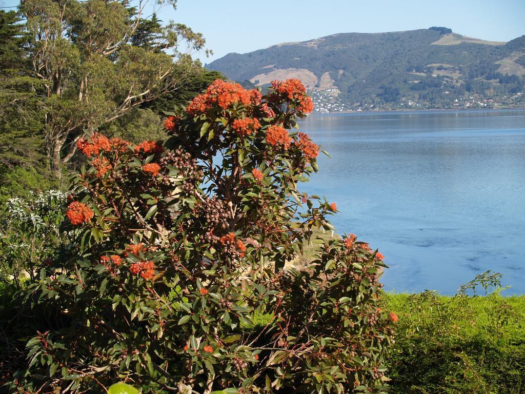 Captain Eady'S Lookout Портобелло Экстерьер фото